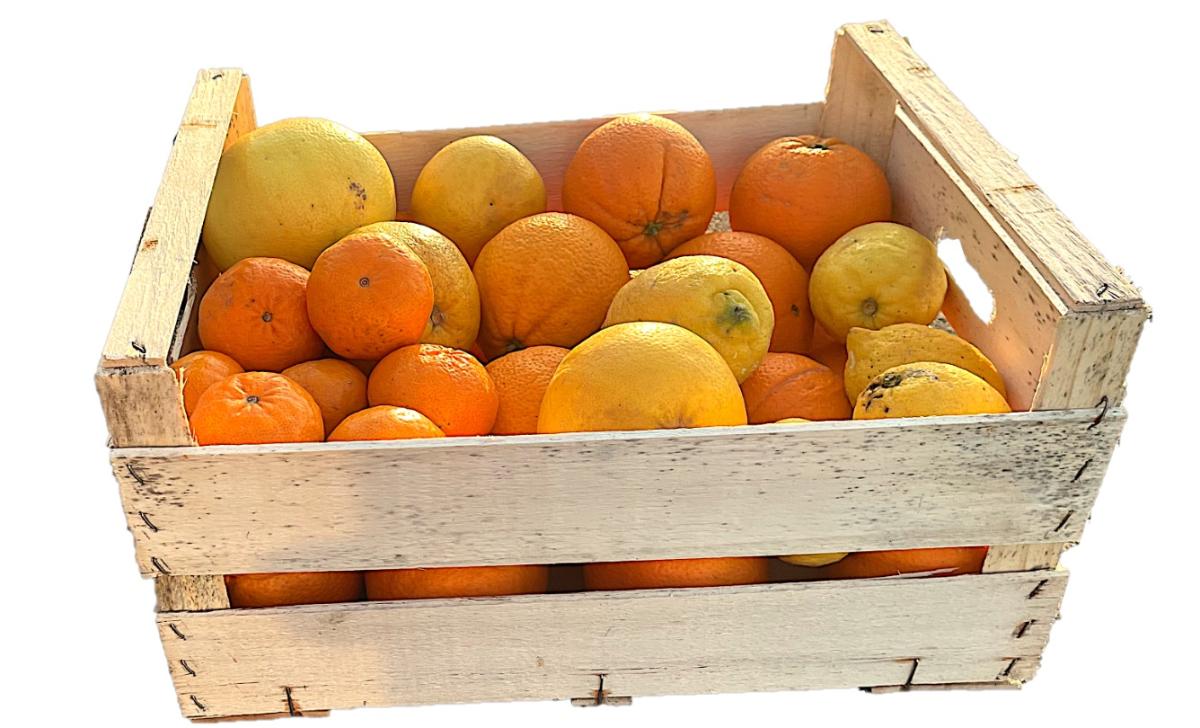 Bild Bio-Zitrusmischbox