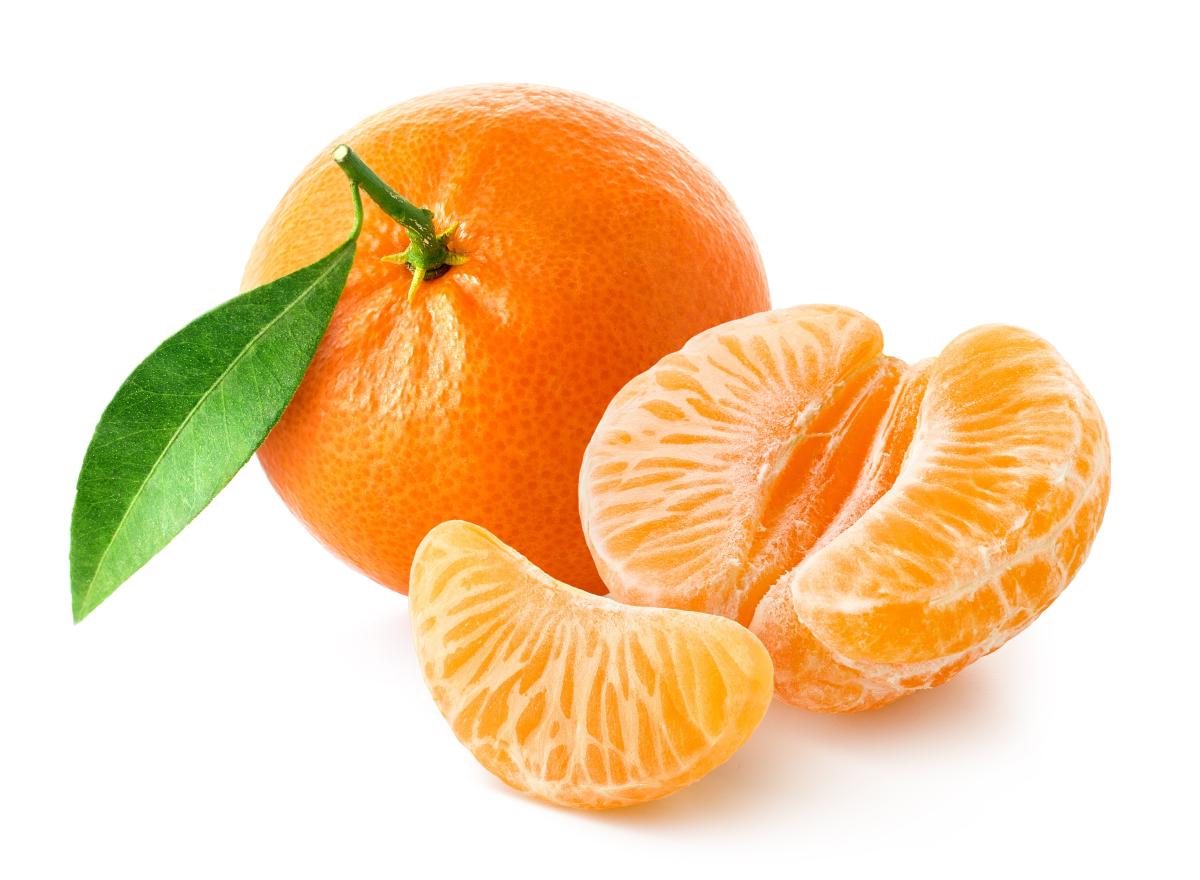 shutterstock_2505805975