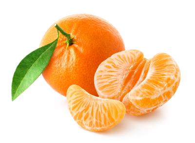 shutterstock_2505805975