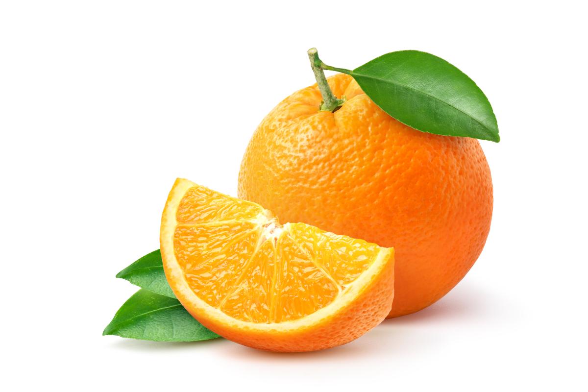 shutterstock_2053015835