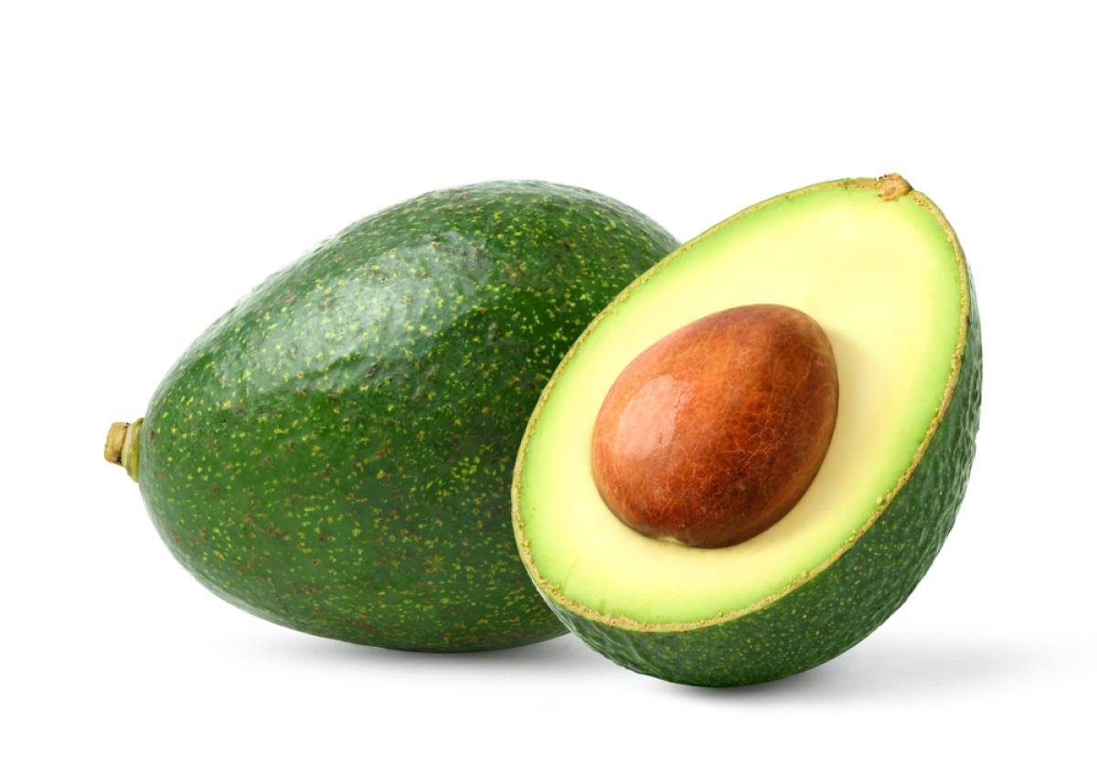 shutterstock_2538998677