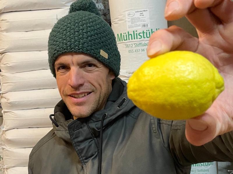 Bio Zitrone online kaufen. Biofairprice.ch Gründer mit direktimportierter Zitrusfrucht zum kaufen.