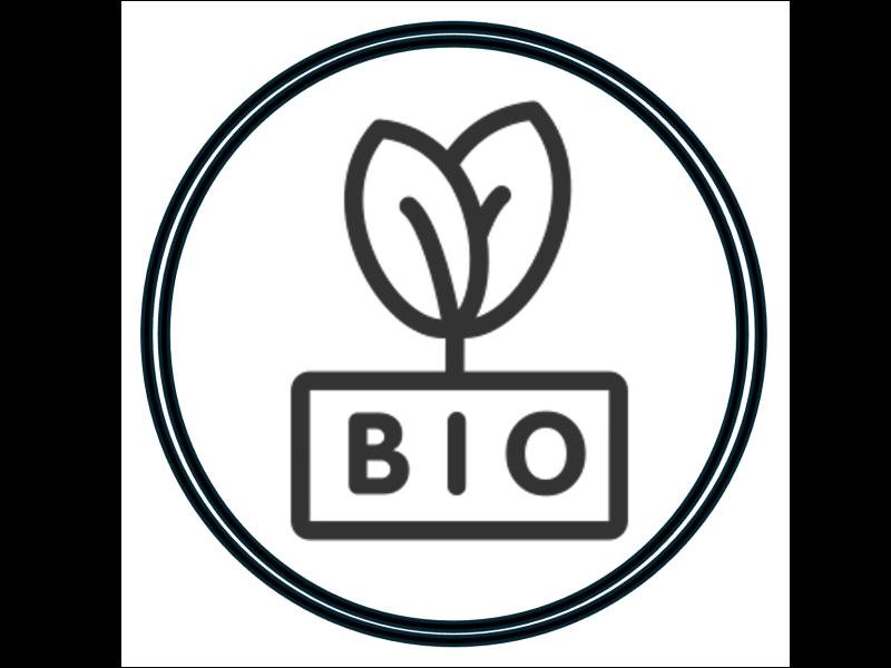 Fair gehandelte Bio Zitrusfrüchte in zertifizierter Bio-Qualität kaufen