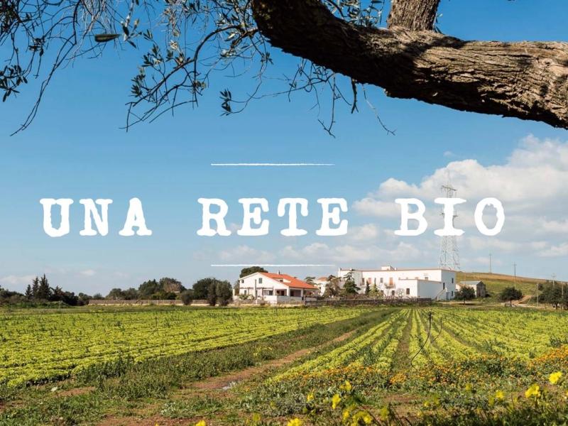 Retebio biologisch und fair, Bio Orangen, Bio Zitronen, Bio Avocados