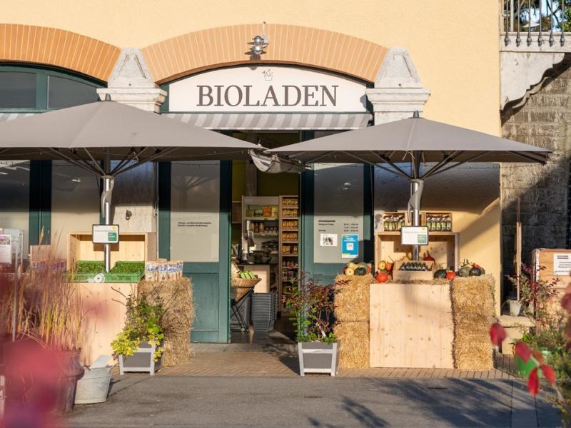 Bio Zitrüsfrüchte vorbestellen und abholen in Hünibach bei der Gartenbauschule im Bio Laden