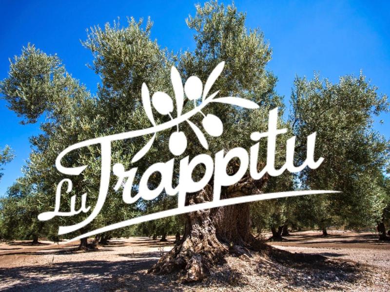 Bio Olivenöl aus Familienbetrieb